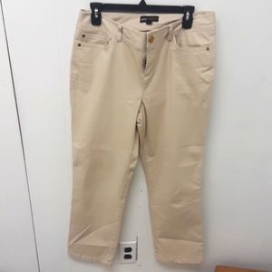 Dana buchman ten pants size 10